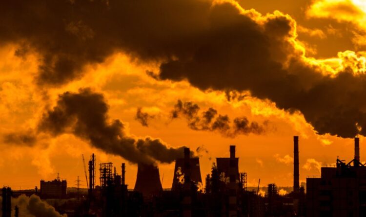 Carbon Credit tecniche, sfide e soluzioni per un futuro a impatto zero