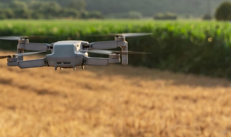 Spreco alimentare zero l'IoT e l’ottimizzazione della logistica come alleati