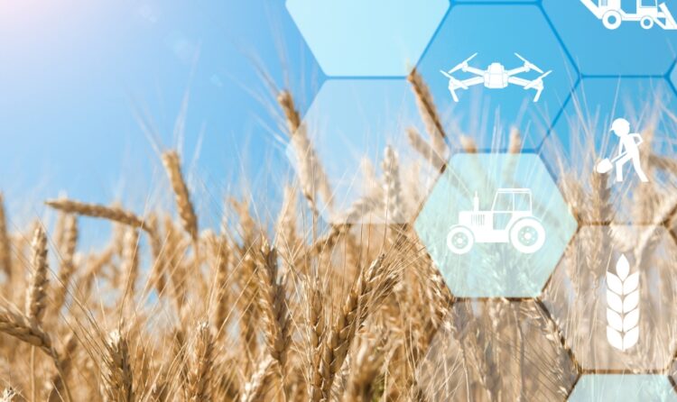 Cibo sano e sostenibile la potenza dell'agricoltura rigenerativa